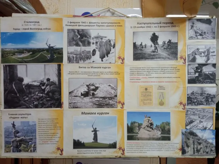 изображение_viber_2023-02-02_09-04-50-753