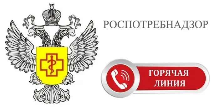 xTv4J1eFWRwdgWjnG84uq5wMDy2iunnbVFJH7ISN_fit-in_1024x1024_filters_quality(80)_format(webp)_www.leocdn.ru_uploadsForSiteId_21944_content_39cca1fc-3e07-478c-b864-eed0747450c2